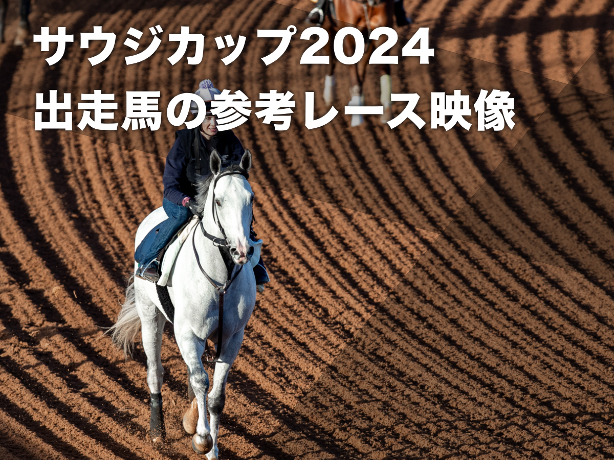 【サウジカップ2024参考レース映像】2024年サウジカップ出走予定馬のレース映像まとめ BCクラシック・ペガサスワールドカップほか