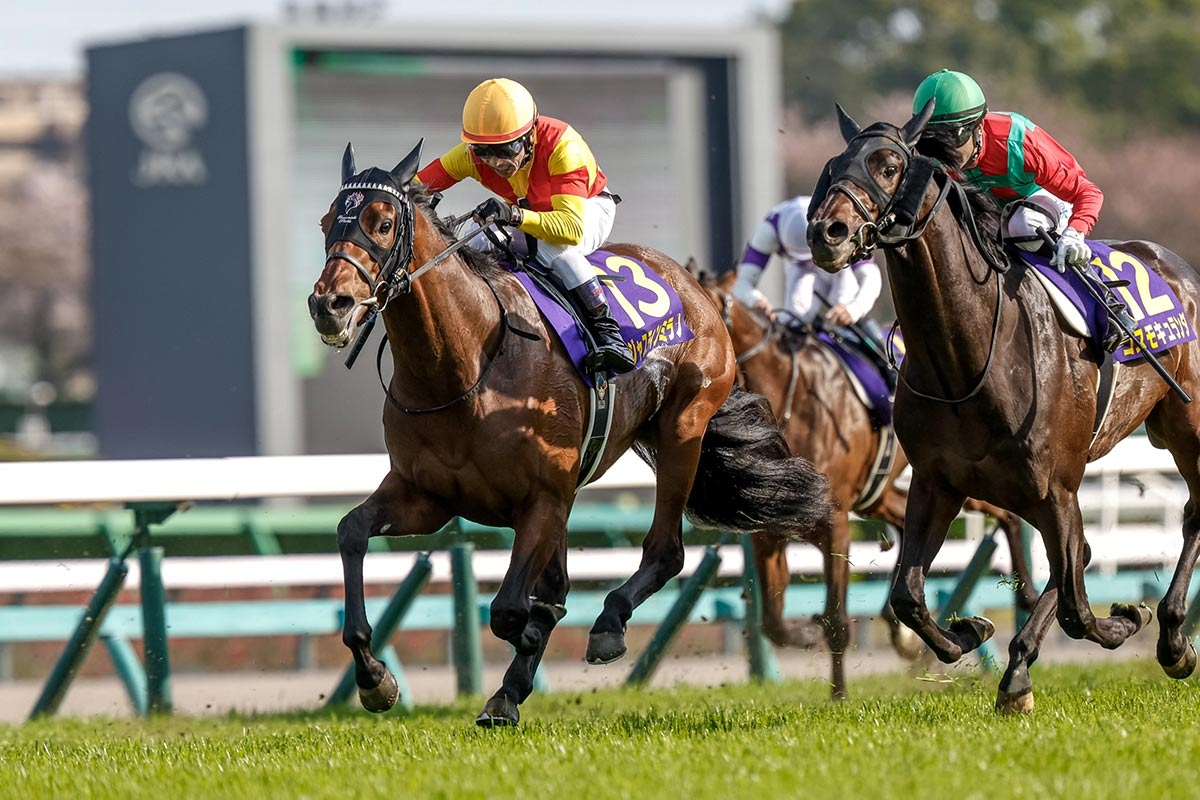 2歳馬＆POGのニュース・最新情報