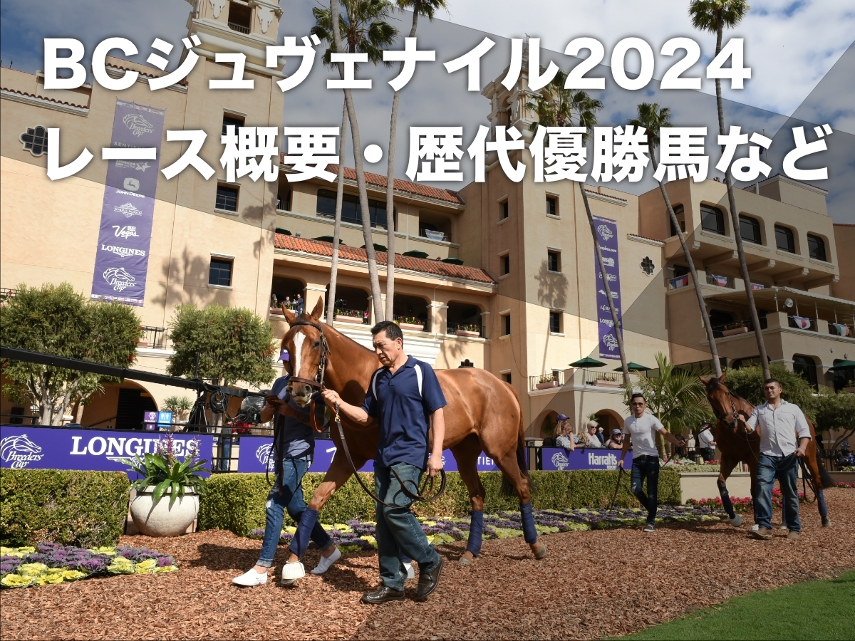 ブリーダーズカップ2024】各競走の出馬表・出走時刻・レース概要