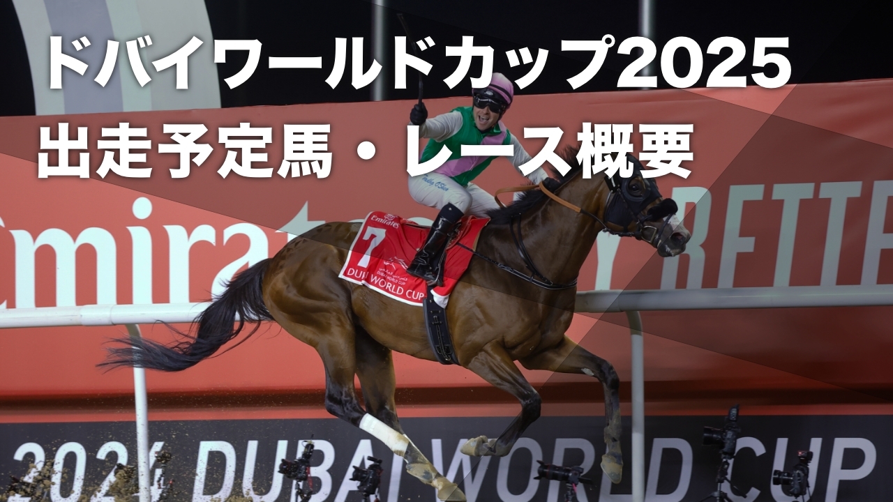 ドバイワールドカップ2025のレース詳細はこちら