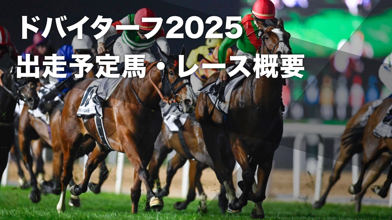 ドバイターフ2025のレース詳細はこちら