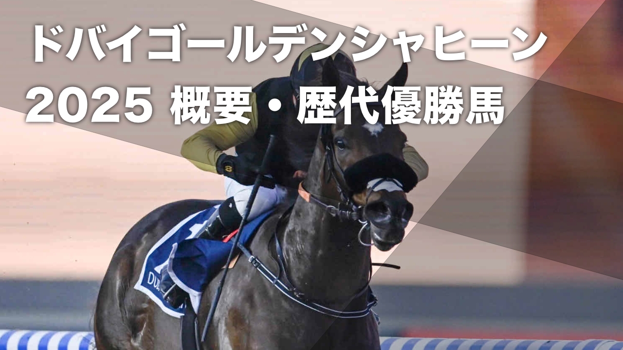 ドバイゴールデンシャヒーン2025のレース詳細はこちら