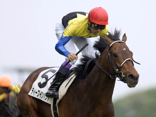 ディープインパクトの軌跡 日本近代競馬の結晶よ、永遠にーー。