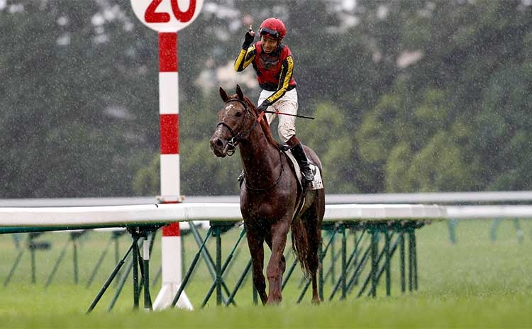 歴代の日本ダービーではオルフェーヴルが1位(撮影：下野雄規)