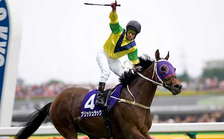 歴代の安田記念ではブリッシュラックが1位(撮影：下野雄規)