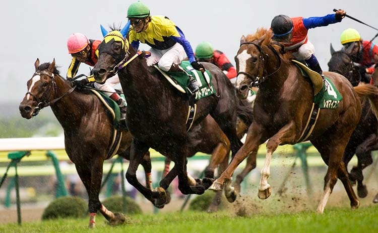 【ラジオNIKKEI賞歴代指数ランキング】雨の中鮮やかに差し切った福島得意のあの馬が1位！