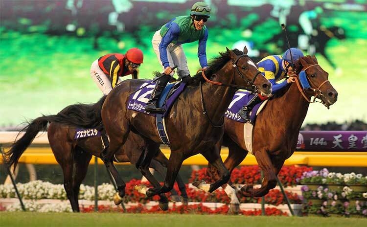 歴代の天皇賞(秋)ではトーセンジョーダンが1位(撮影：下野雄規)