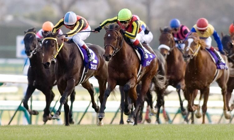 歴代の有馬記念では2009年の勝ち馬ドリームジャーニーが1位(撮影：下野雄規)