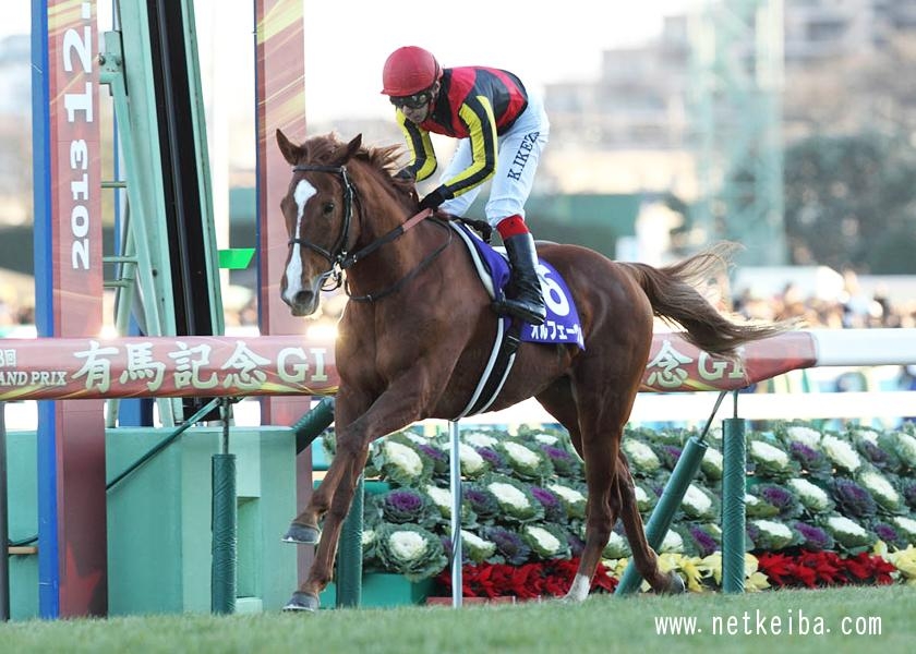 第58回有馬記念3枠6番1番人気で優勝したオルフェーヴル