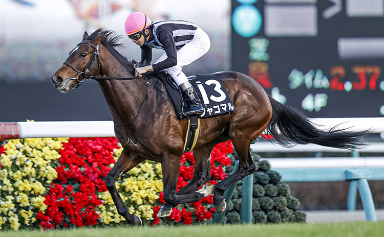 有馬記念と同じコースを8枠から逃げ切った横山和生騎手 (写真は2020年グレイトフルS、撮影：下野雄規)