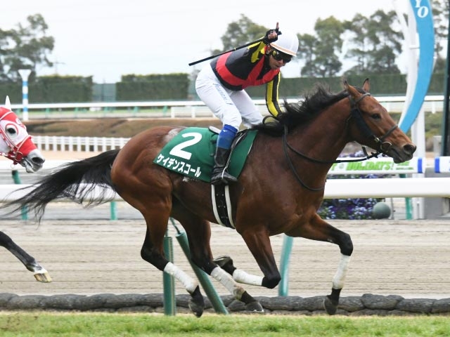 【京都金杯予想】過去10年のレース結果（1～3着馬）のデータ一覧/競馬予想データ