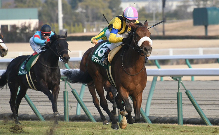 【愛知杯予想】過去10年のレース結果（1～3着馬）のデータ一覧/競馬予想データ