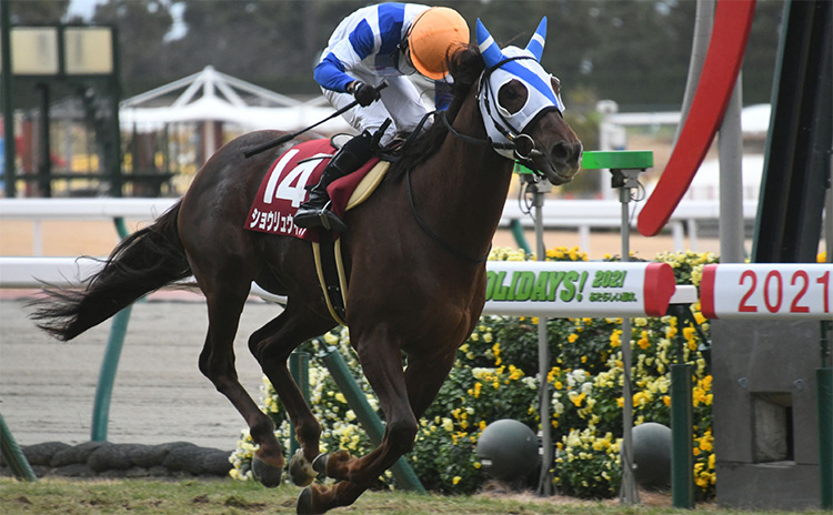 【日経新春杯予想】過去10年のレース結果（1～3着馬）のデータ一覧/競馬予想データ