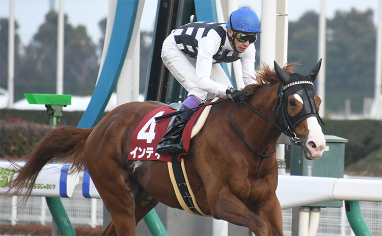 2019年、6連勝で重賞初勝利を飾った4枠4番インティ(C)netkeiba.com