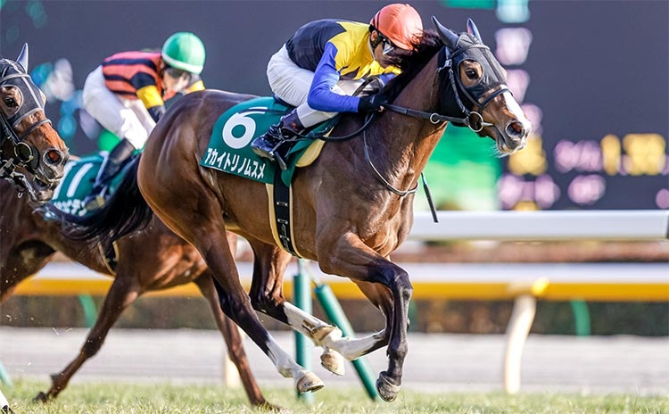 昨年3枠6番からの発走で優勝した戸崎圭太騎手騎乗のアカイトリノムスメ(撮影：下野雄規)