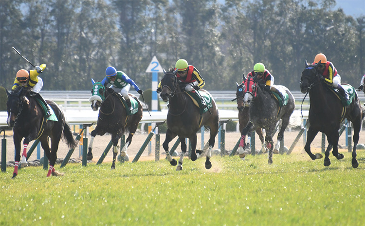 【京都牝馬ステークス予想】過去10年のレース結果（1～3着馬）のデータ一覧/競馬予想データ