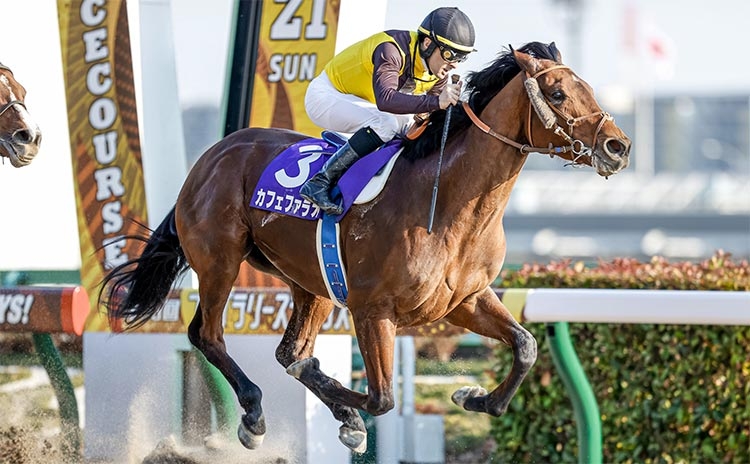 2021年優勝した2枠3番カフェファラオ(撮影：下野雄規)