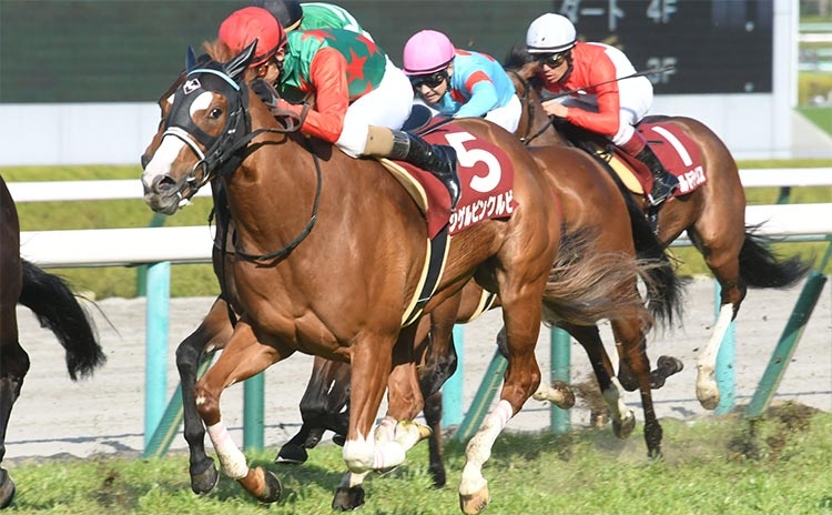 【フィリーズレビュー予想】過去10年のレース結果（1～3着馬）のデータ一覧/競馬予想データ