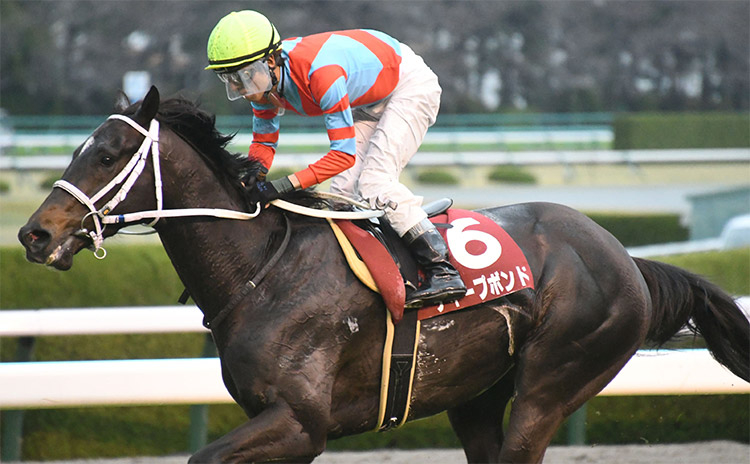 2021年優勝馬ディープボンド(C)netkeiba.com)