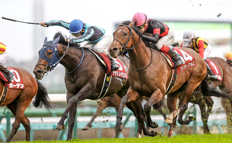 【スプリングステークス予想】過去10年のレース結果（1～3着馬）のデータ一覧/競馬予想データ