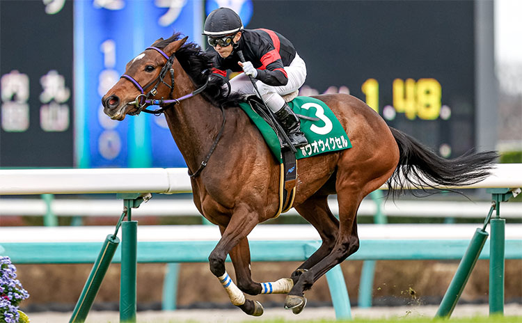 2021年優勝馬ホウオウイクセル(撮影：下野雄規)