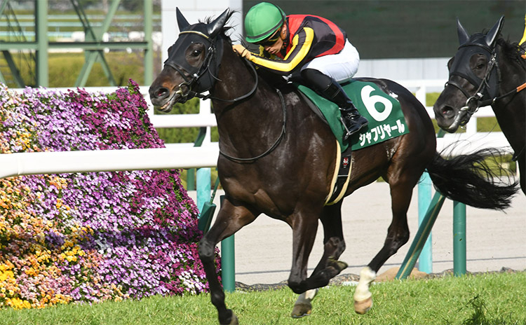 2021年優勝したウインマリリン(撮影：下野雄規)