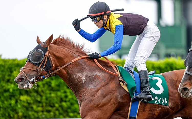 【マーチステークス予想】過去10年のレース結果（1～3着馬）のデータ一覧/競馬予想データ