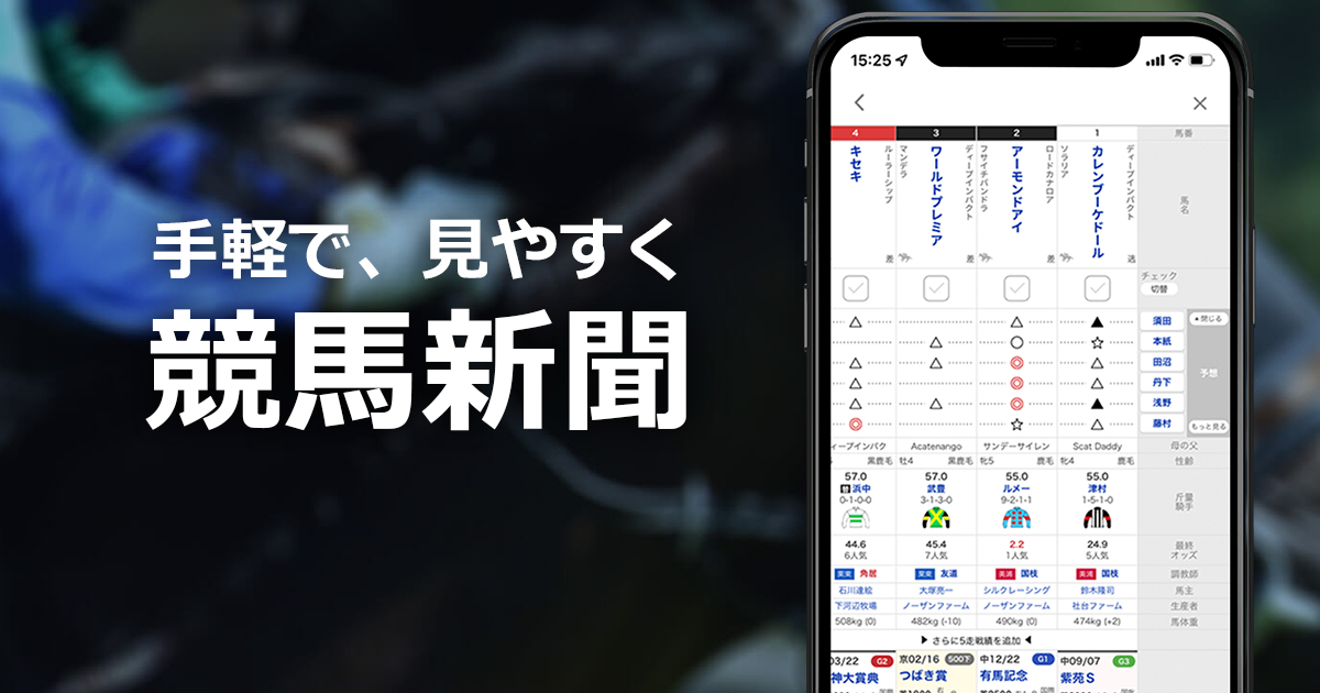 手軽で、見やすく 競馬新聞