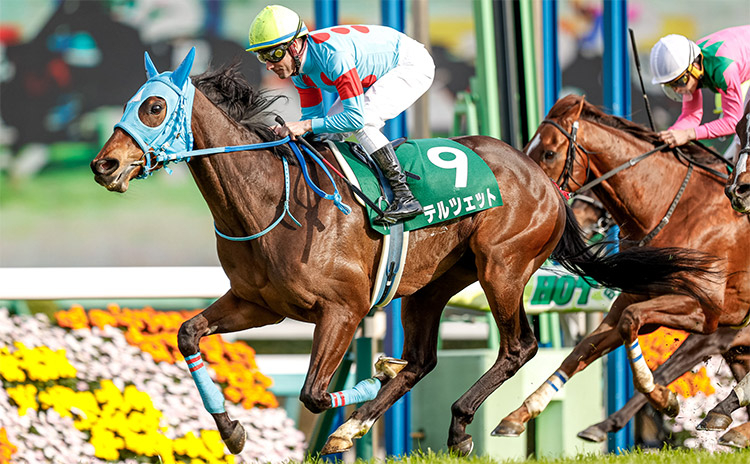 【ダービー卿チャレンジトロフィー予想】過去10年のレース結果（1～3着馬）のデータ一覧/競馬予想データ