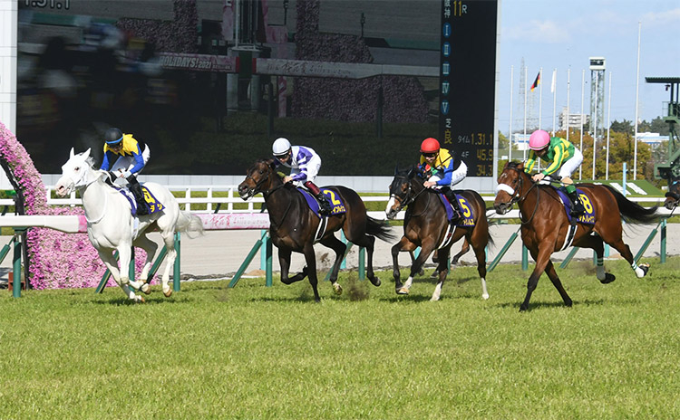 歴代の桜花賞ではソダシと接戦を演じたサトノレイナスが1位(c)netkeiba.com