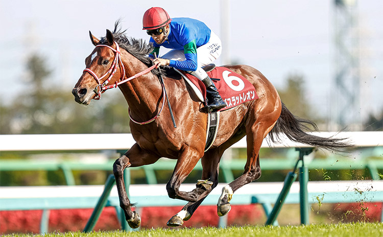 【ニュージーランドトロフィー予想】過去10年のレース結果（1～3着馬）のデータ一覧/競馬予想データ