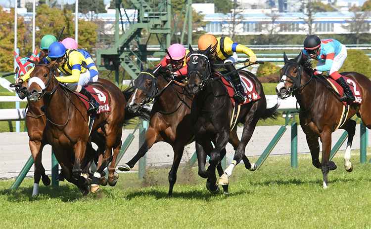 【阪神牝馬ステークス予想】過去10年のレース結果（1～3着馬）のデータ一覧/競馬予想データ