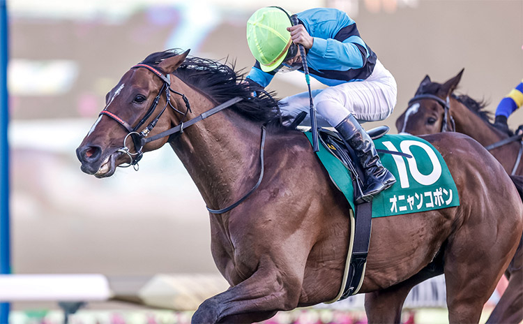 オニャンコポンの馬名意味由来は「偉大な者（アカン語）」(撮影：下野雄規)