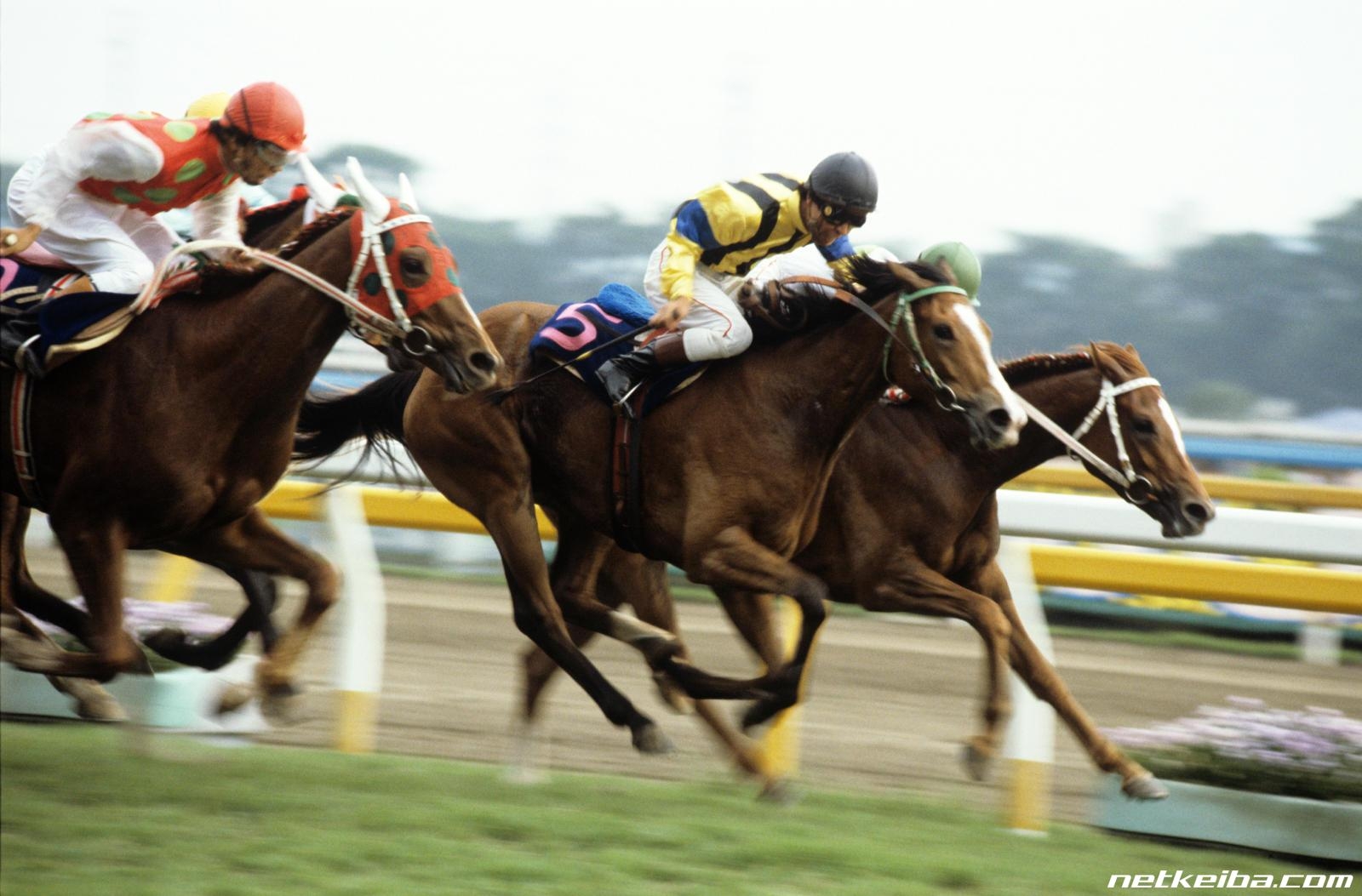 1983年オークス優勝馬ダイナカール (c)netkeiba.com