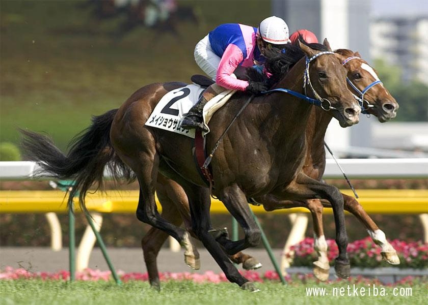 2006年日本ダービー優勝馬メイショウサムソン (c)netkeiba.com