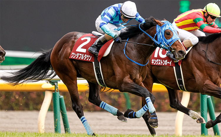 【青葉賞予想】過去10年のレース結果（1～3着馬）のデータ一覧/競馬予想データ