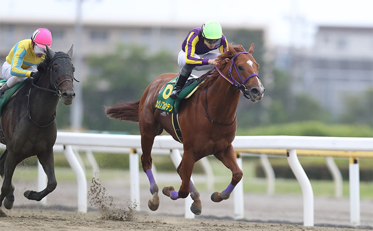 【かしわ記念予想】過去10年のレース結果（1～3着馬）のデータ一覧/競馬予想データ