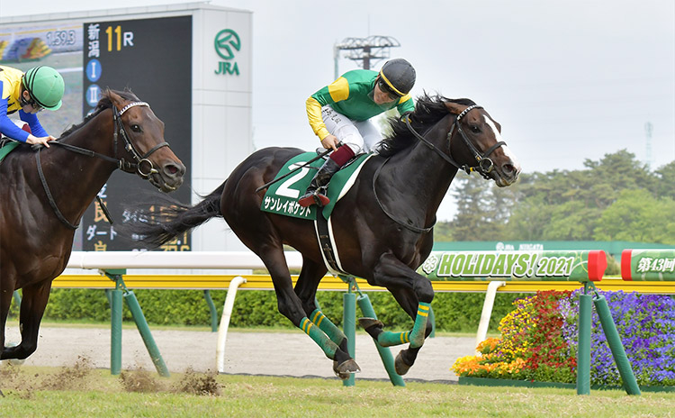 【新潟大賞典予想】過去10年のレース結果（1～3着馬）のデータ一覧/競馬予想データ