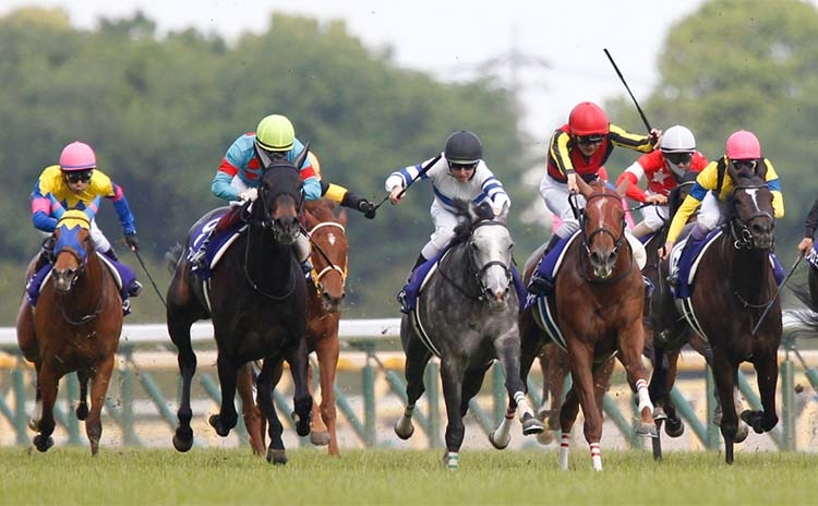 歴代のヴィクトリアマイルでは2019年ヴィクトリアマイルが1位(撮影：下野雄規)