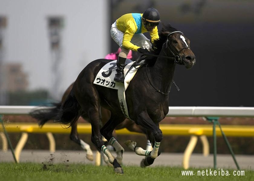 2007年日本ダービー優勝馬ウオッカ (c)netkeiba.com