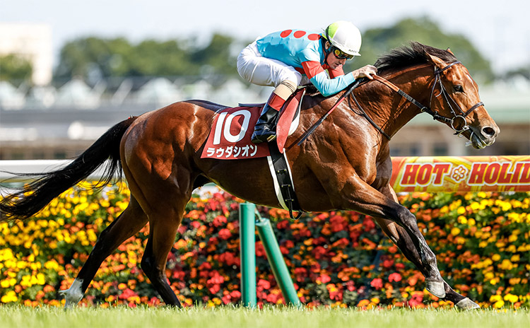 【京王杯スプリングカップ予想】過去10年のレース結果（1～3着馬）のデータ一覧/競馬予想データ