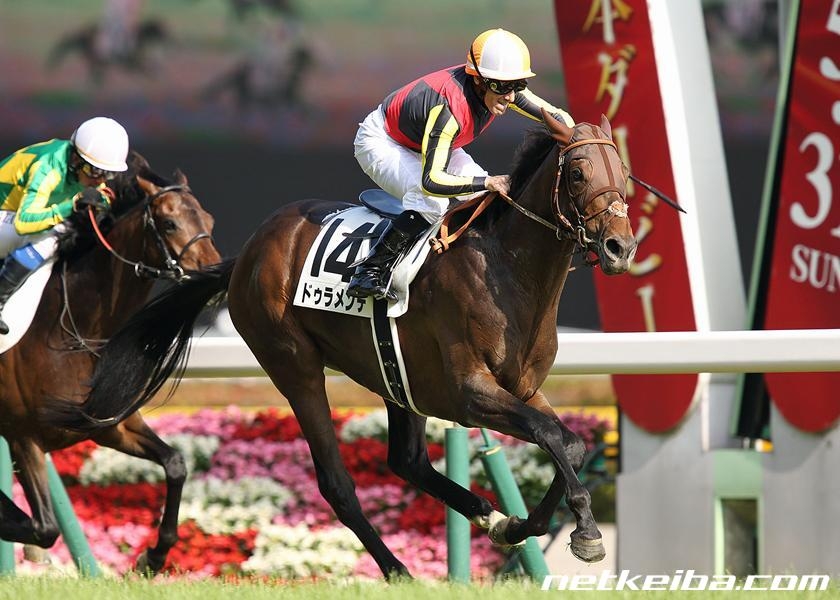 非売品】ドゥラメンテ ジャージ ジャンパー ブルゾン 競馬 - ジャージ