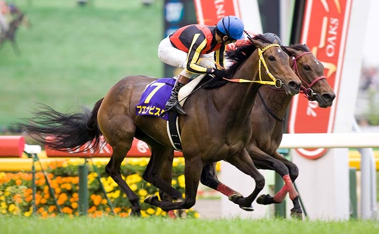 歴代のオークスではブエナビスタが1位(撮影：下野雄規)