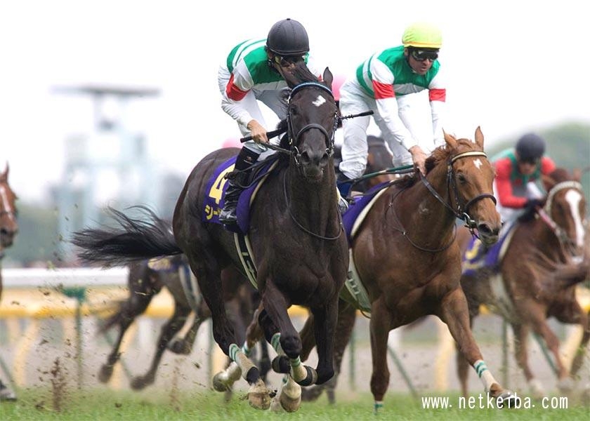 第66回優駿牝馬(オークス)優勝馬シーザリオ (c)netkeiba.com