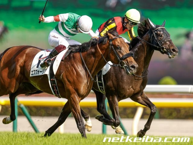 第88回東京優駿（日本ダービー）優勝馬シャフリヤール (c)netkeiba.com