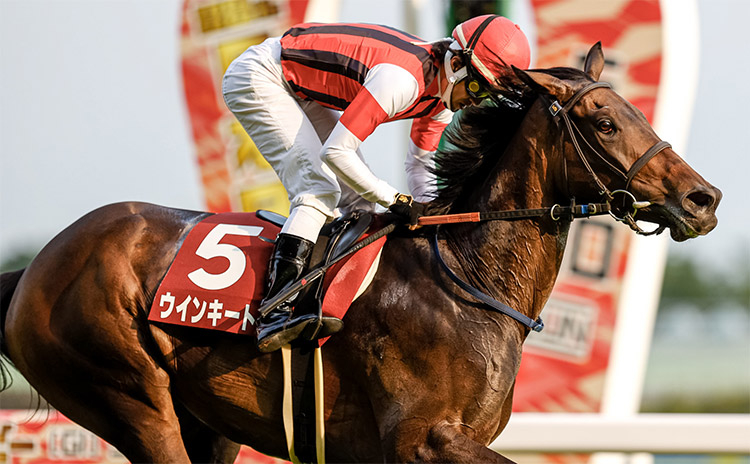 第135回目黒記念はウインキートスが33年振りに牝馬として優勝(撮影：下野雄規)