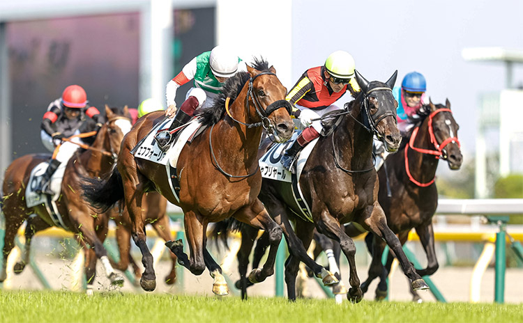 第88回日本ダービーはゴール前の激しい闘いをシャフリヤールが制し優勝(撮影：下野雄規)