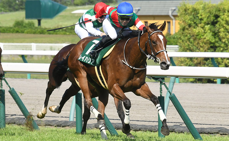 【葵ステークス予想】過去10年のレース結果（1～3着馬）のデータ一覧/競馬予想データ