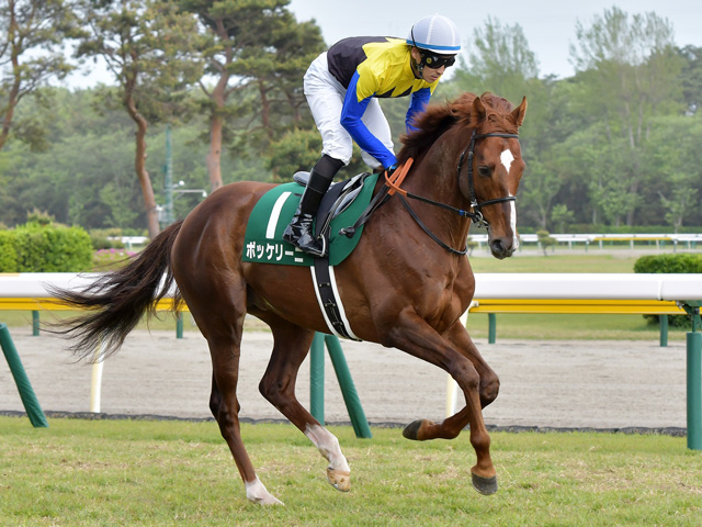 【目黒記念2022最新情報】抜けた人気馬不在の大混戦！ 東京競馬場伝統のハンデ戦