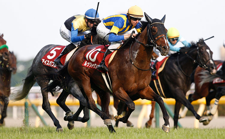 【目黒記念予想】有利な枠順は？過去10年の枠番・馬番の成績/競馬予想データ